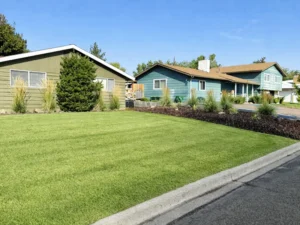 Freshly mowed residential lawn with clean landscape bed edging and maintained ornamental grasses.